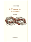 Voyage to Arcturus, A